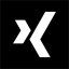 Xing logo